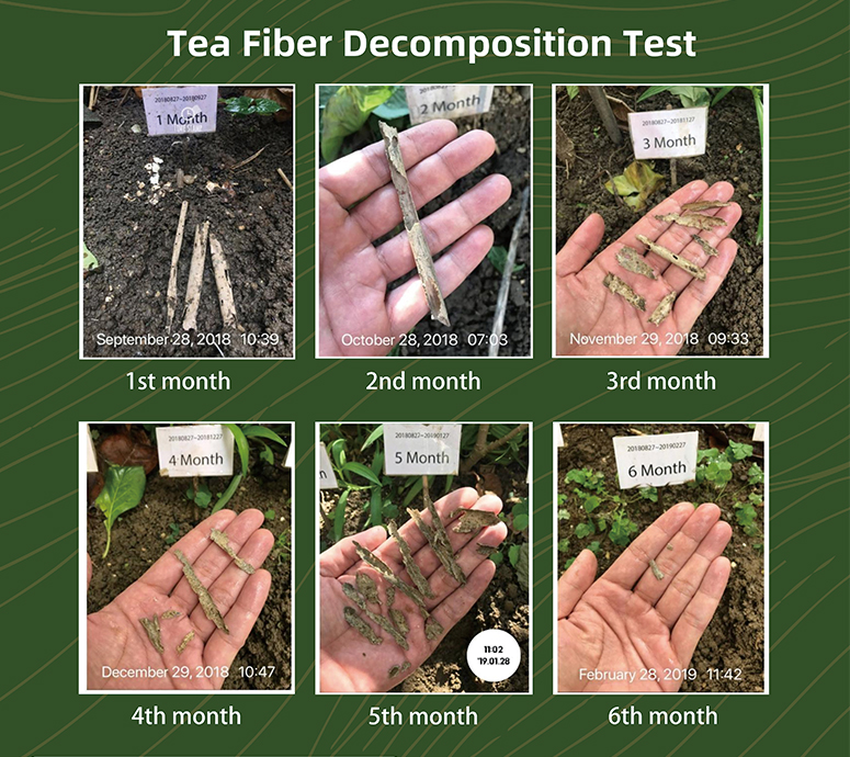فناوری بولتدان
