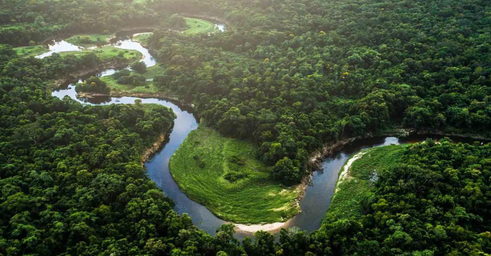 فناوری بولتدان