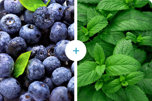 فناوری بولتدان