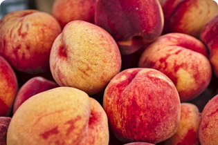 فناوری بولتدان