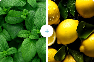 فناوری بولتدان