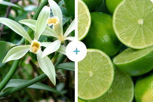 فناوری بولتدان