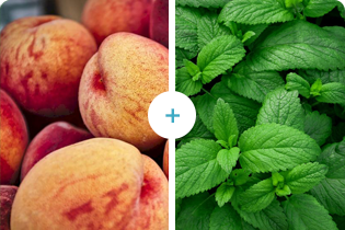 فناوری بولتدان