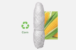 فناوری بولتدان